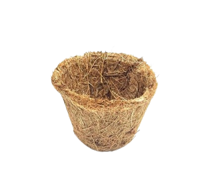 Coconut Cup
