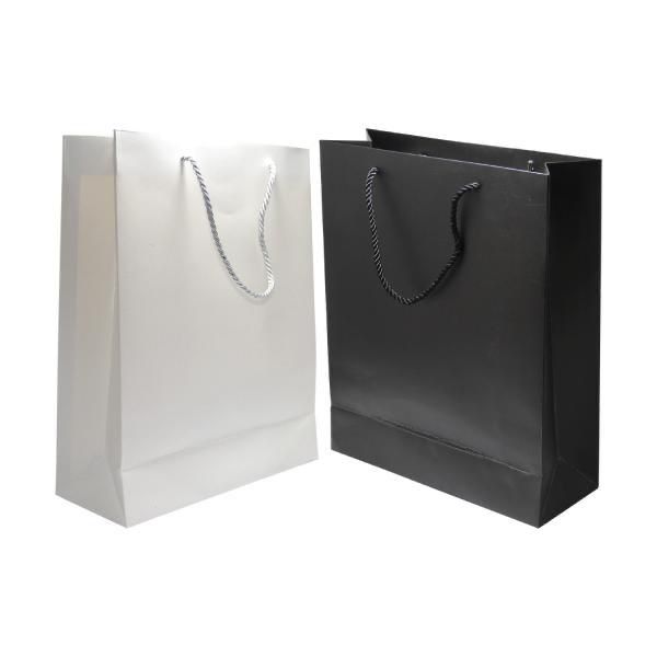 Party Paper Gift Bag