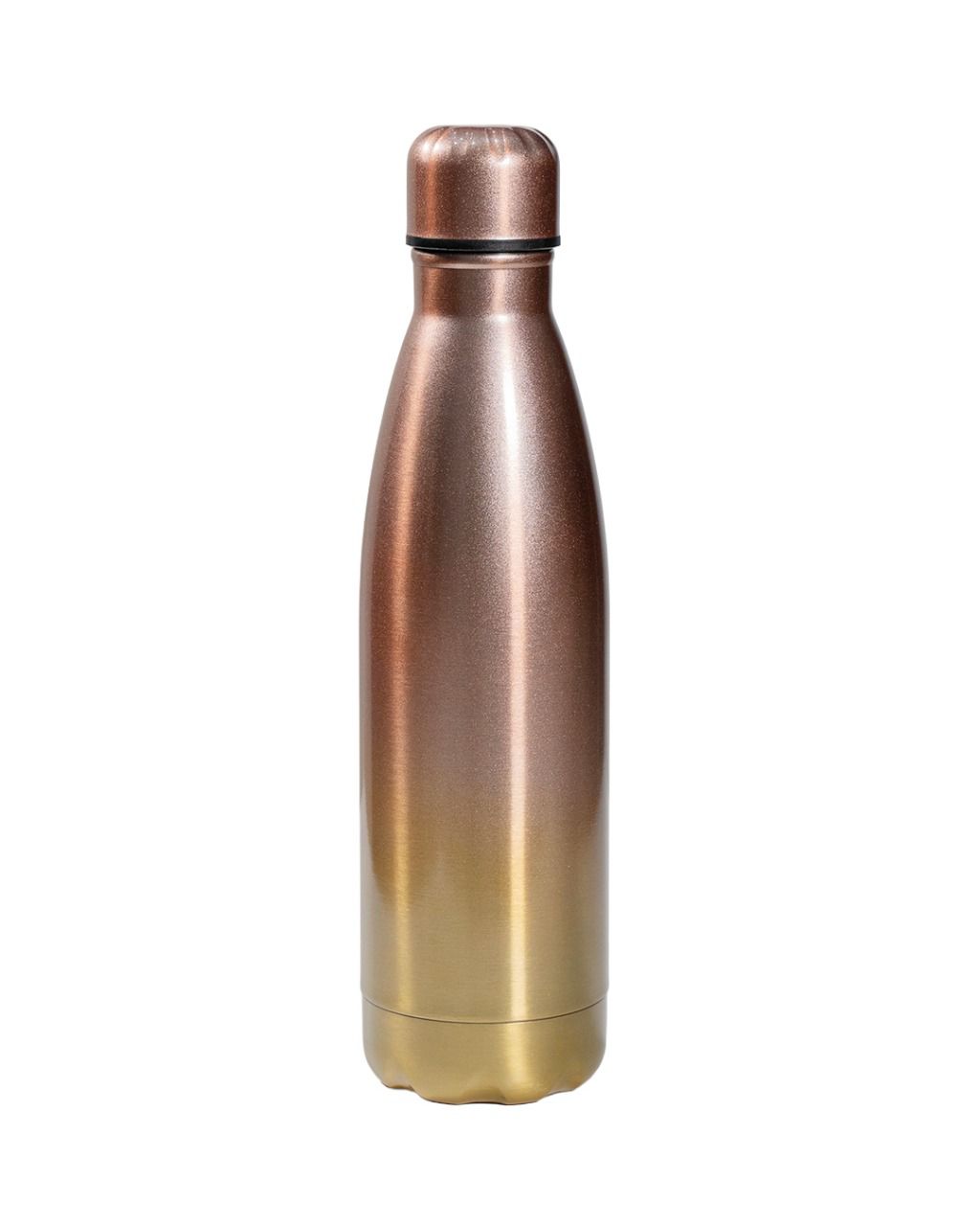 Stainless Steel Bottles