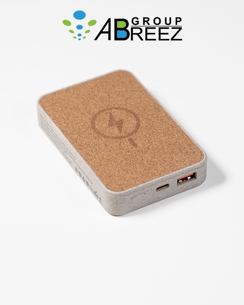 Power Bank Crok
