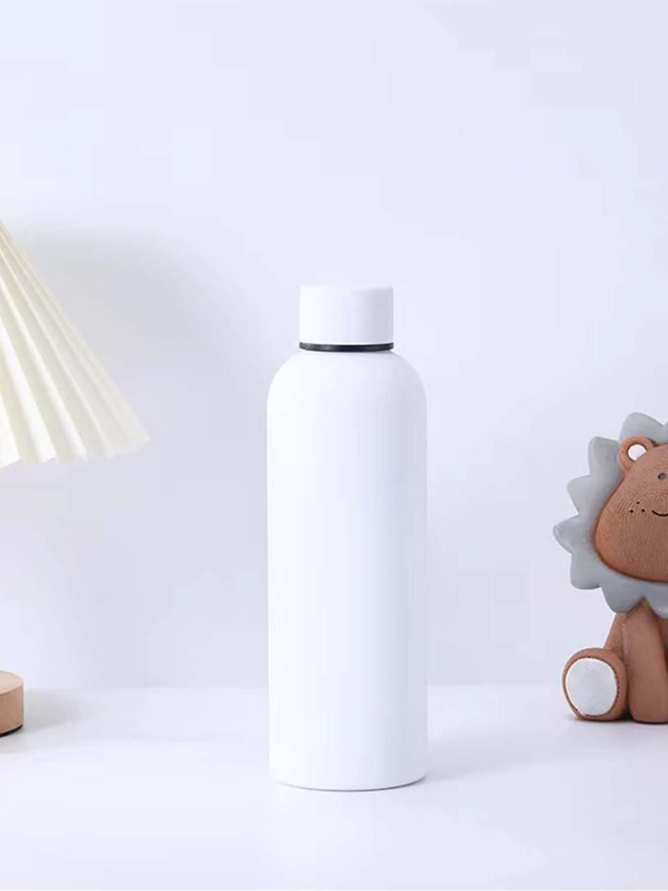 Stainless Steel Bottle,500ml010