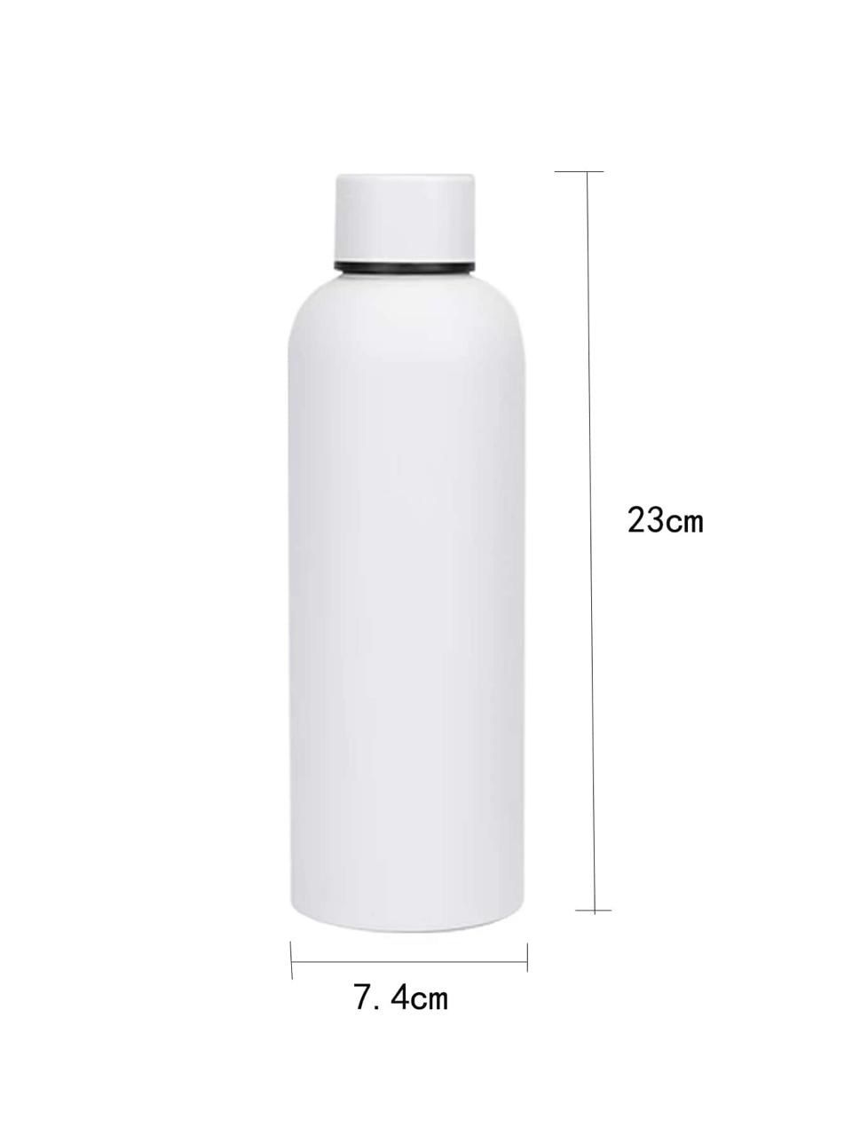 Stainless Steel Bottle,500ml010
