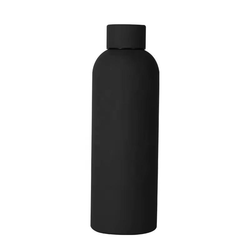 Stainless Steel Bottle,500ml010