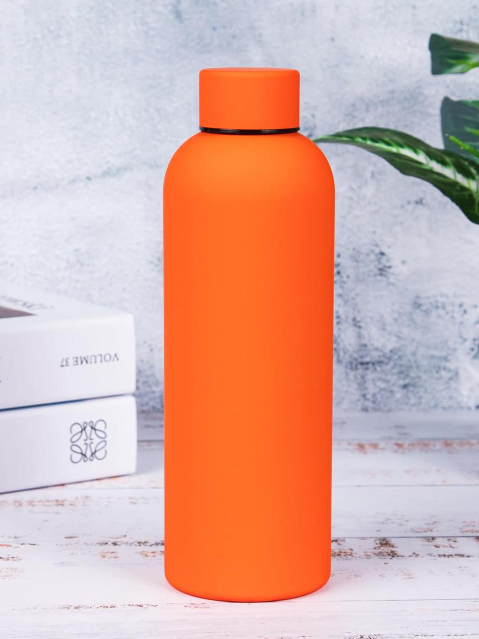Stainless Steel Bottle,500ml010