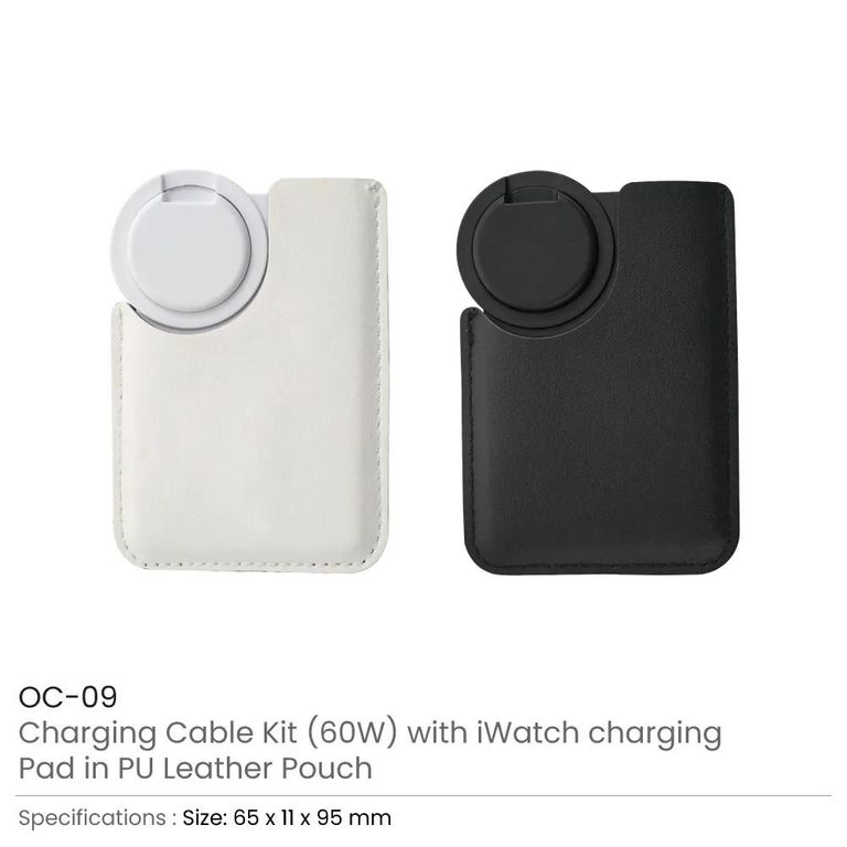 Portable Multi-connector Charging Kit