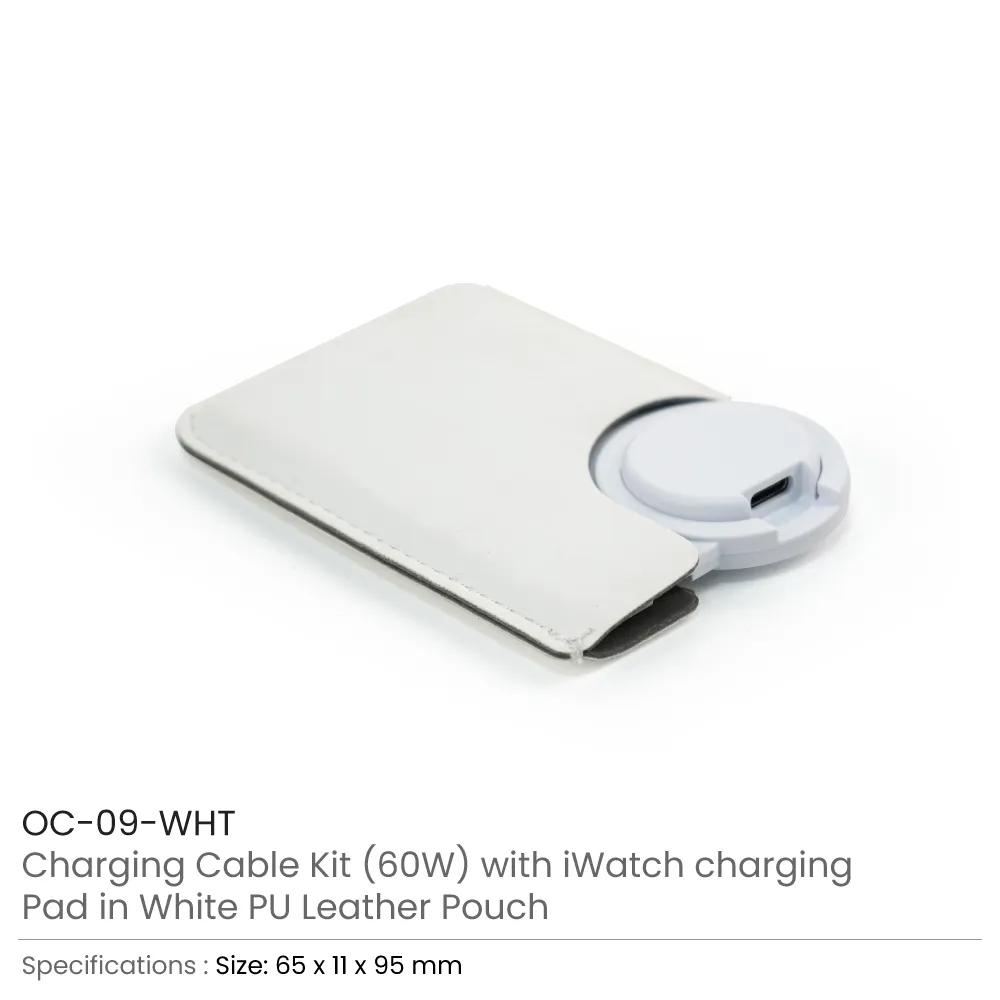 Portable Multi-connector Charging Kit