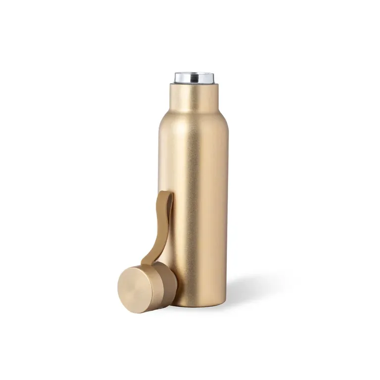 Roach Insulated Bottle