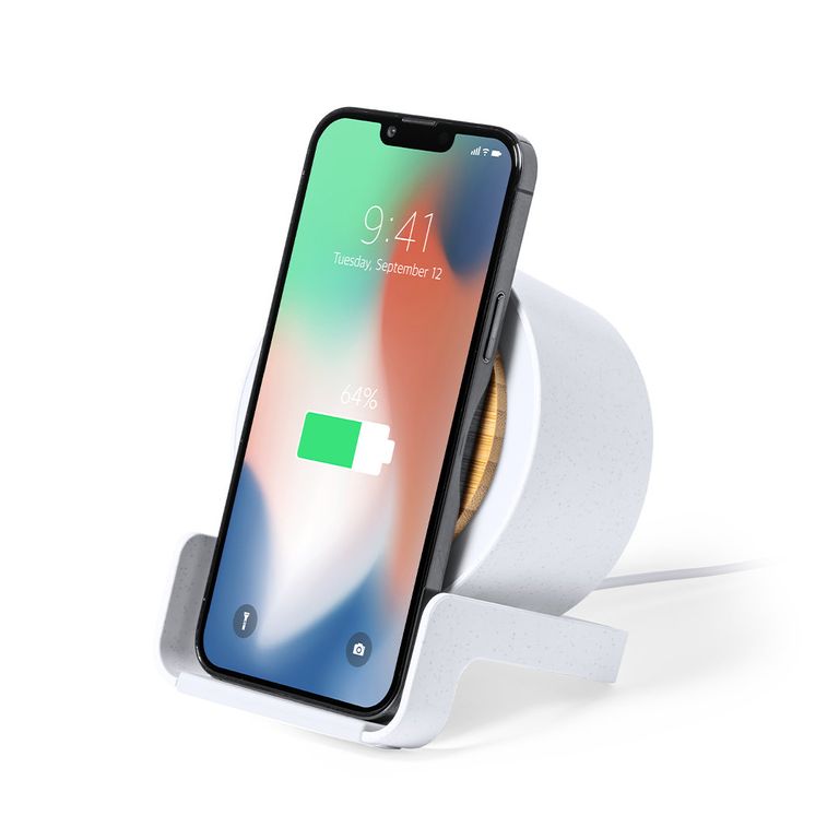 Bluetooth speaker and wireless charger