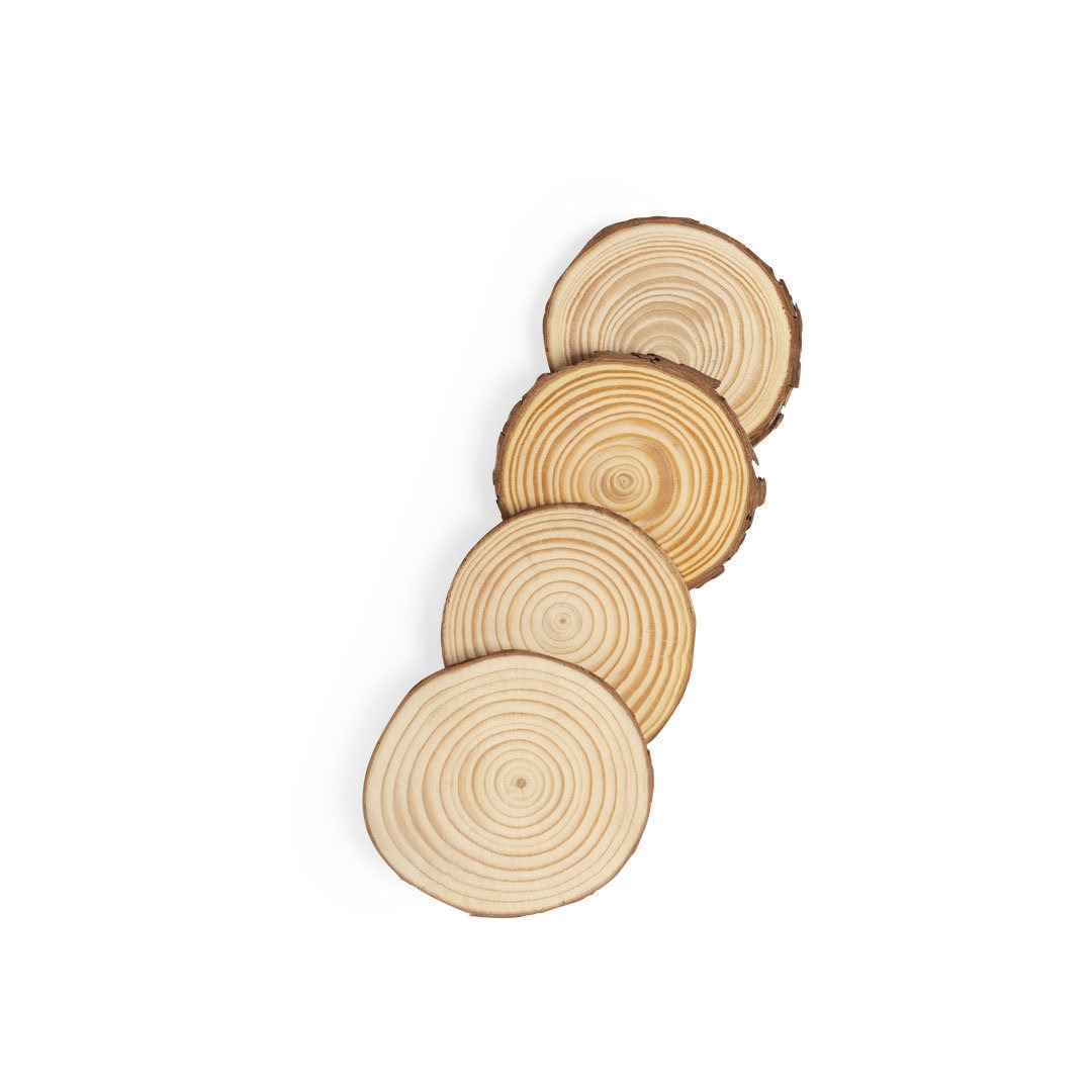 Rustic Set Features Natural Pine Wood Slices Cut From Real