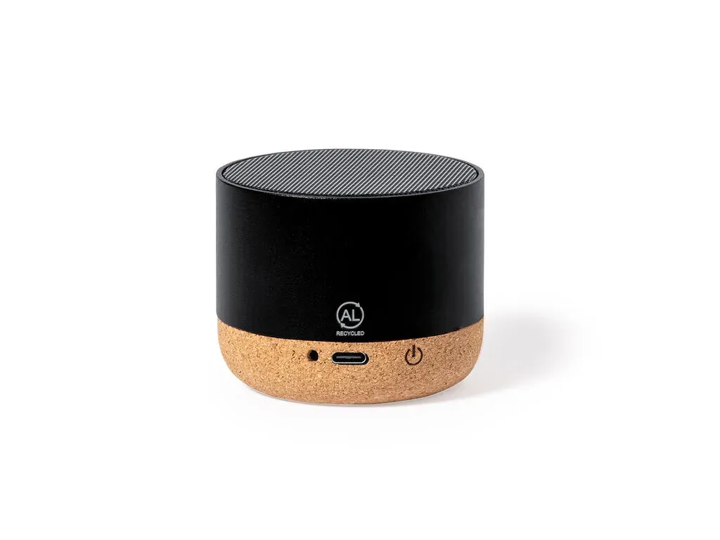 Moore Speaker