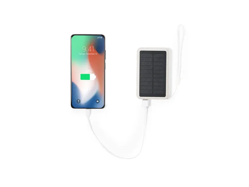 Dawson Power Bank