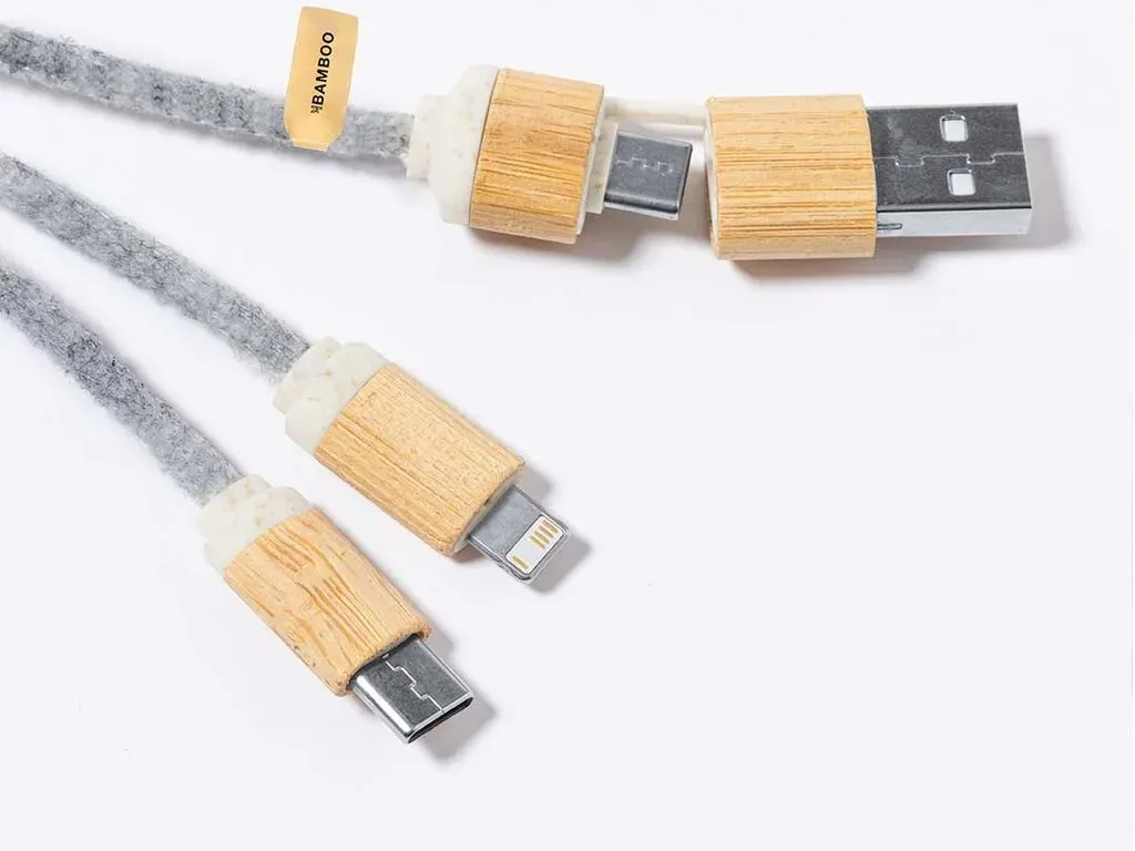 Braxton Charging Cable