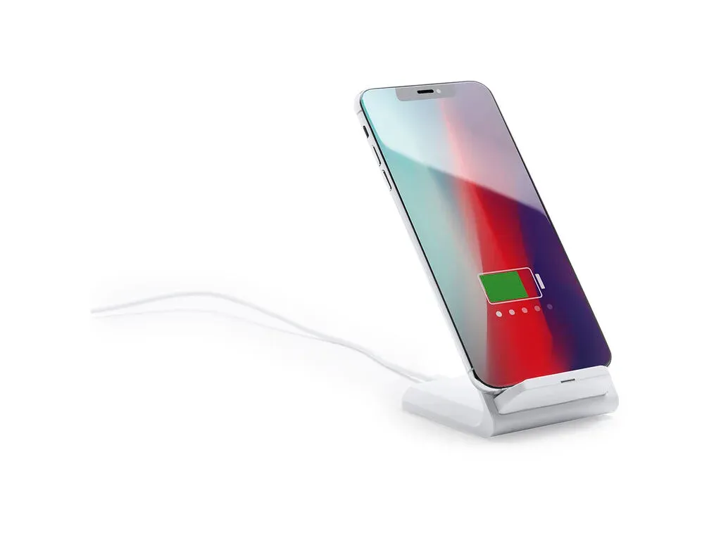 Tayil RCS Charger