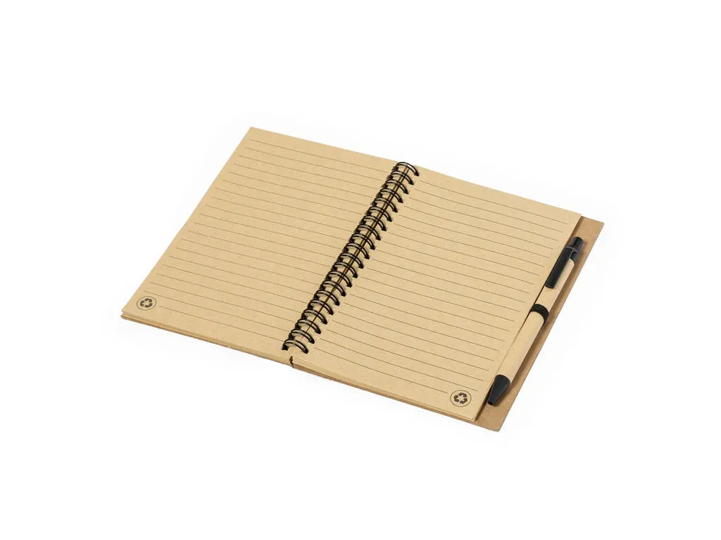 Gienah Notebook