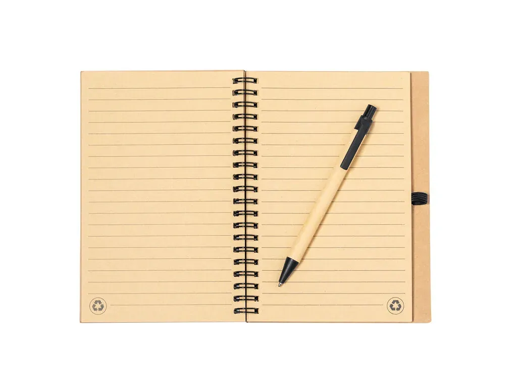 Gienah Notebook