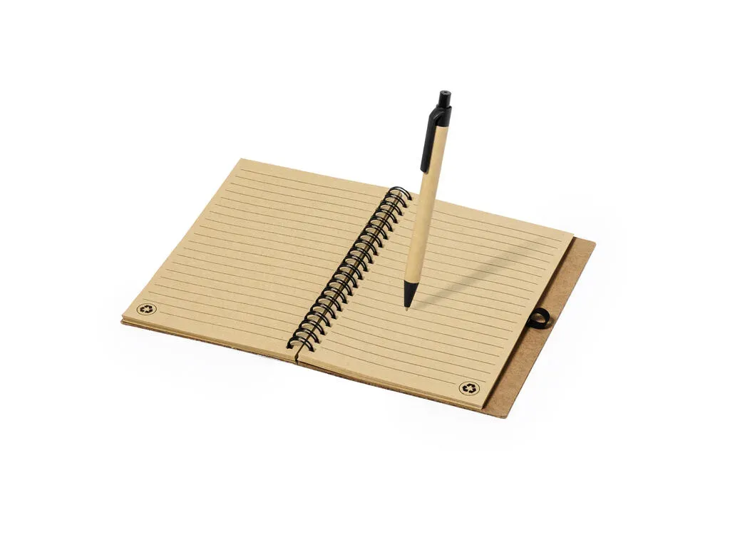 Gienah Notebook