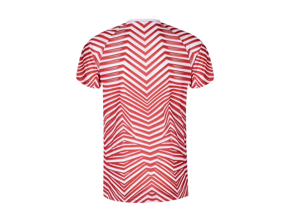 Tingyi Adult T-Shirt