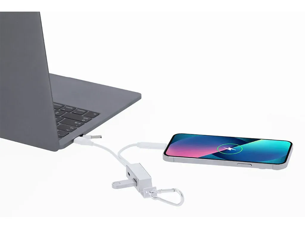 Leony Charger USB Hub