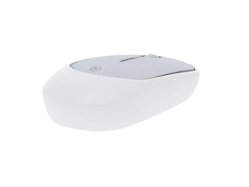 Doryt RCS Mouse