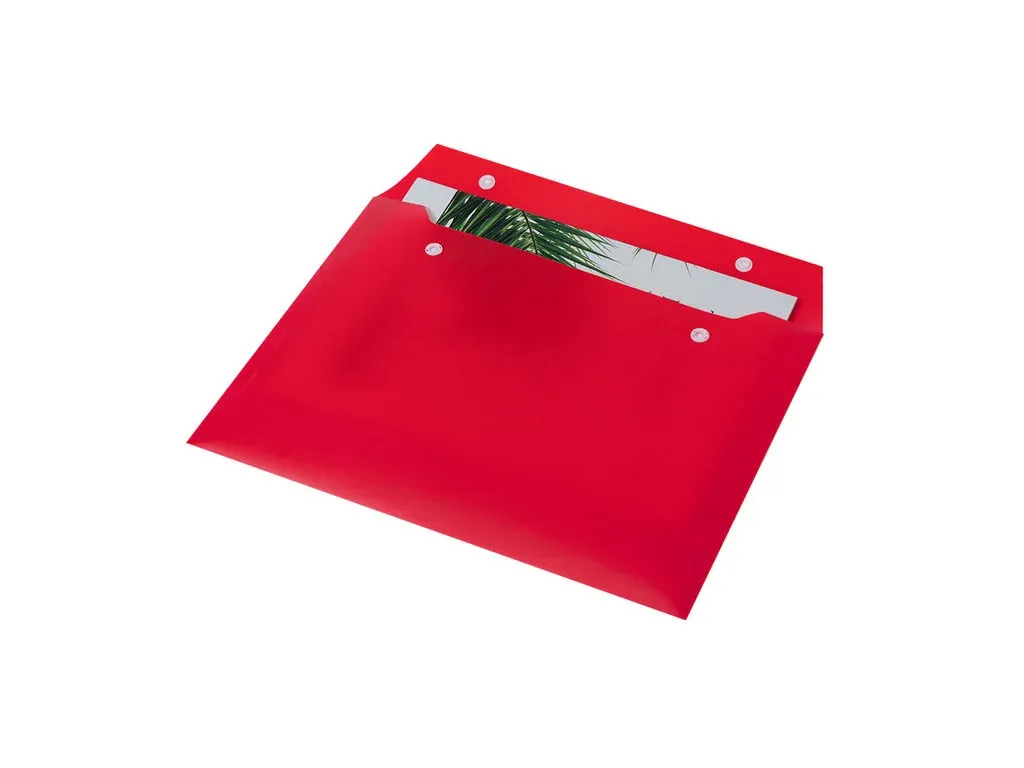 Gynster Document Holder