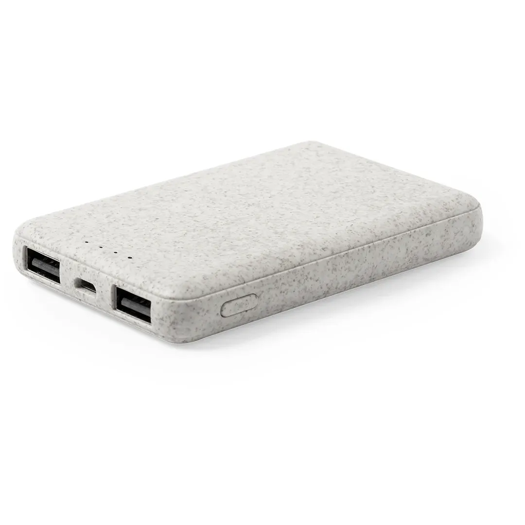 Shiden Power Bank