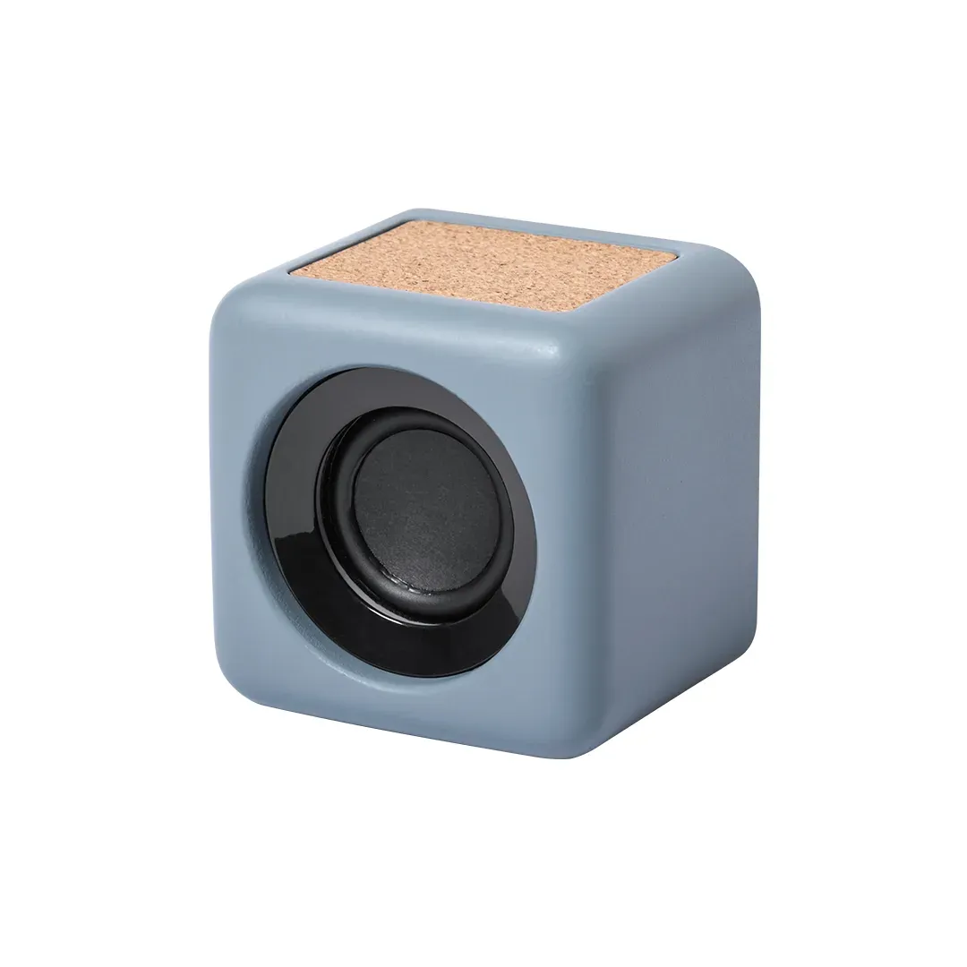 Seynol Speaker