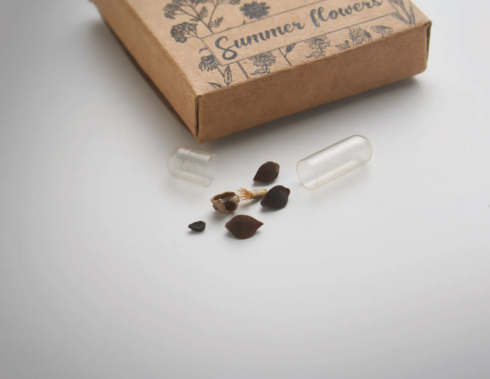 Flomix Peat Disc Mixed Summer Flower Seed Kit — Beige