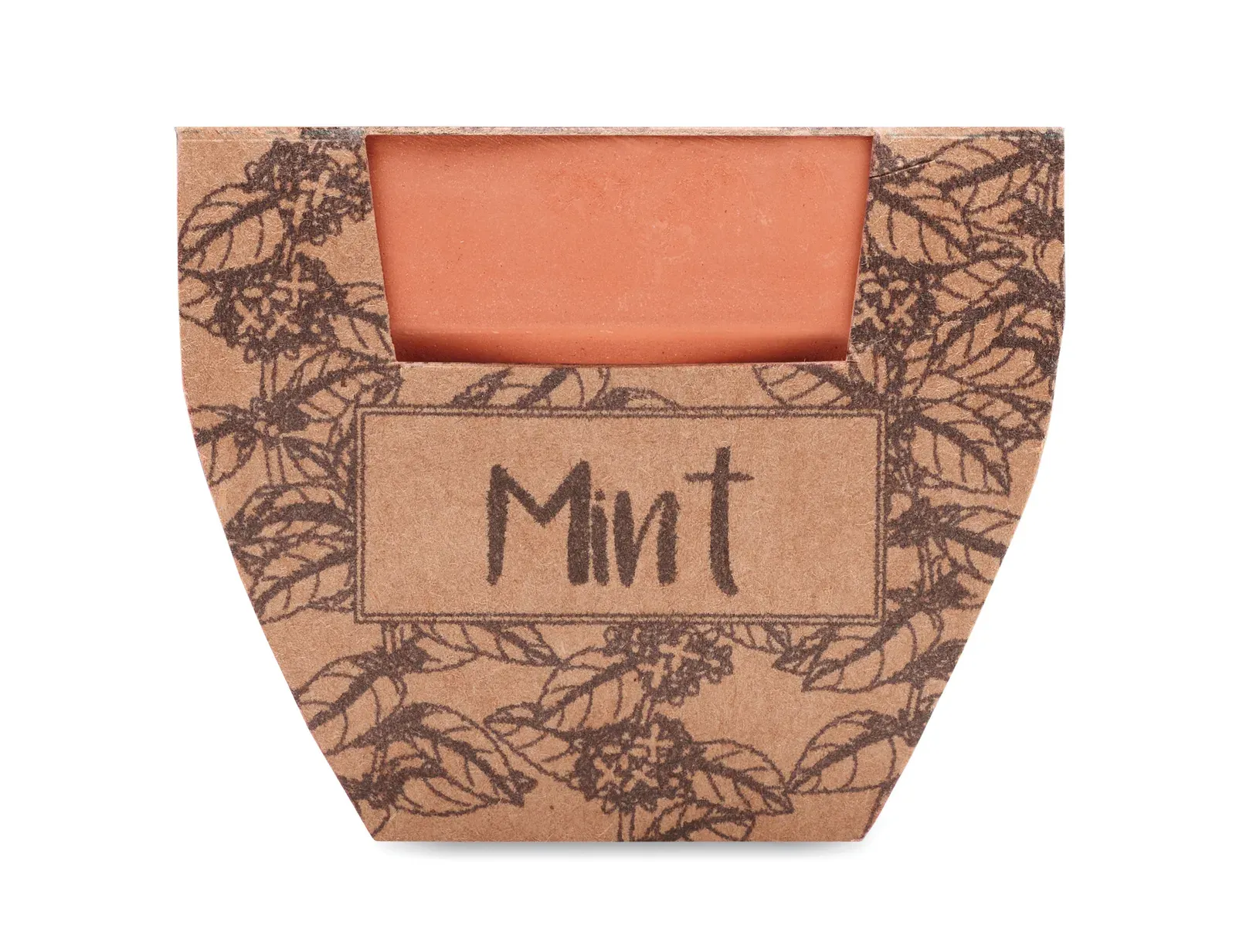 Mint Pot Terracotta Growing Pot with Mint Seeds — Wood