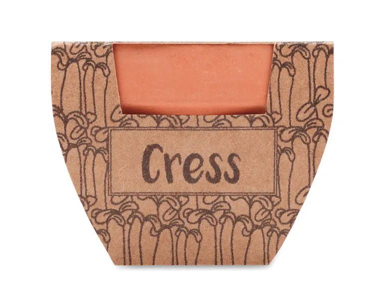 Cress Pot Terracotta Growing Kit with Cress Seeds