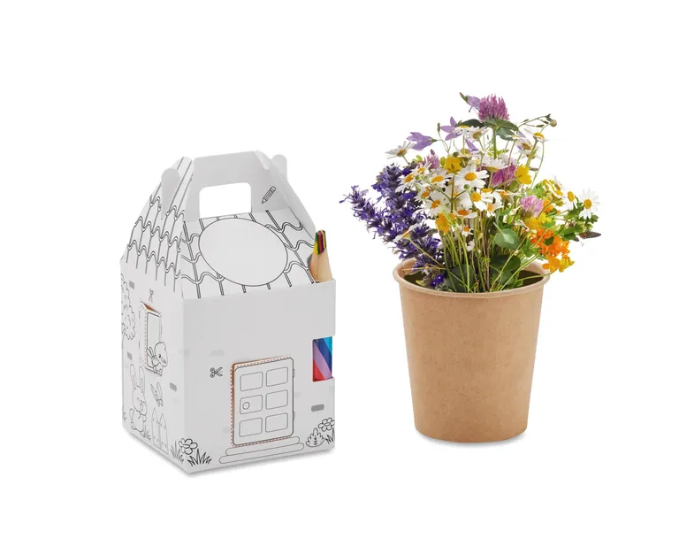 Fullhouse Pine Tree Seed Growing Kit