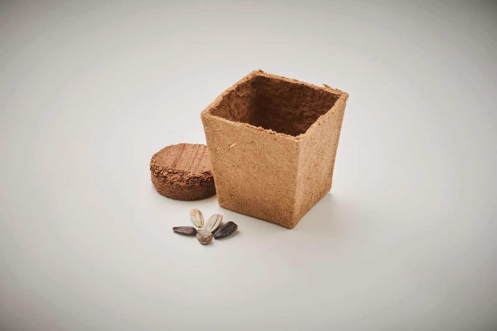Sunflower Kit Sunflower Growing Kit — Beige