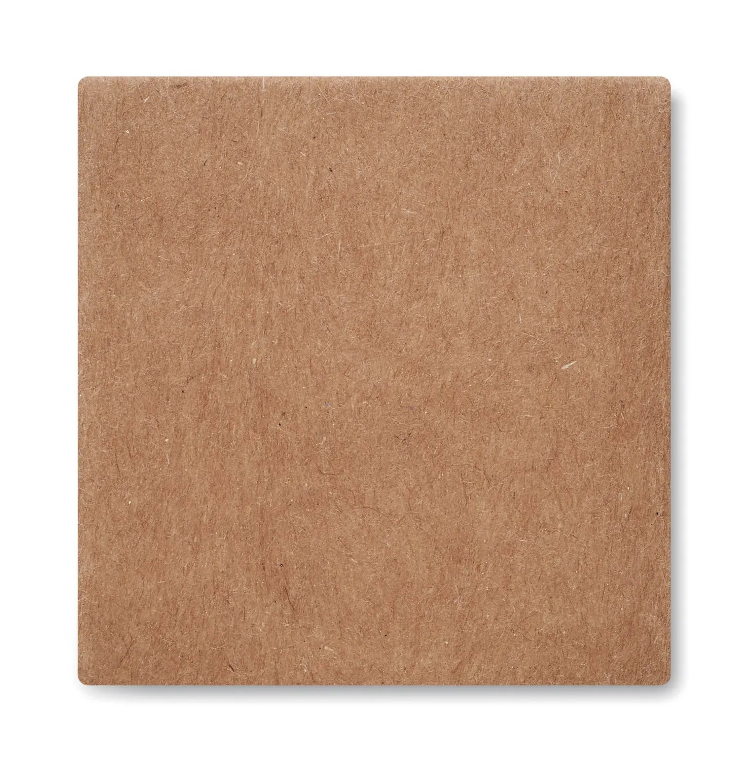 Sunflower Kit Sunflower Growing Kit — Beige