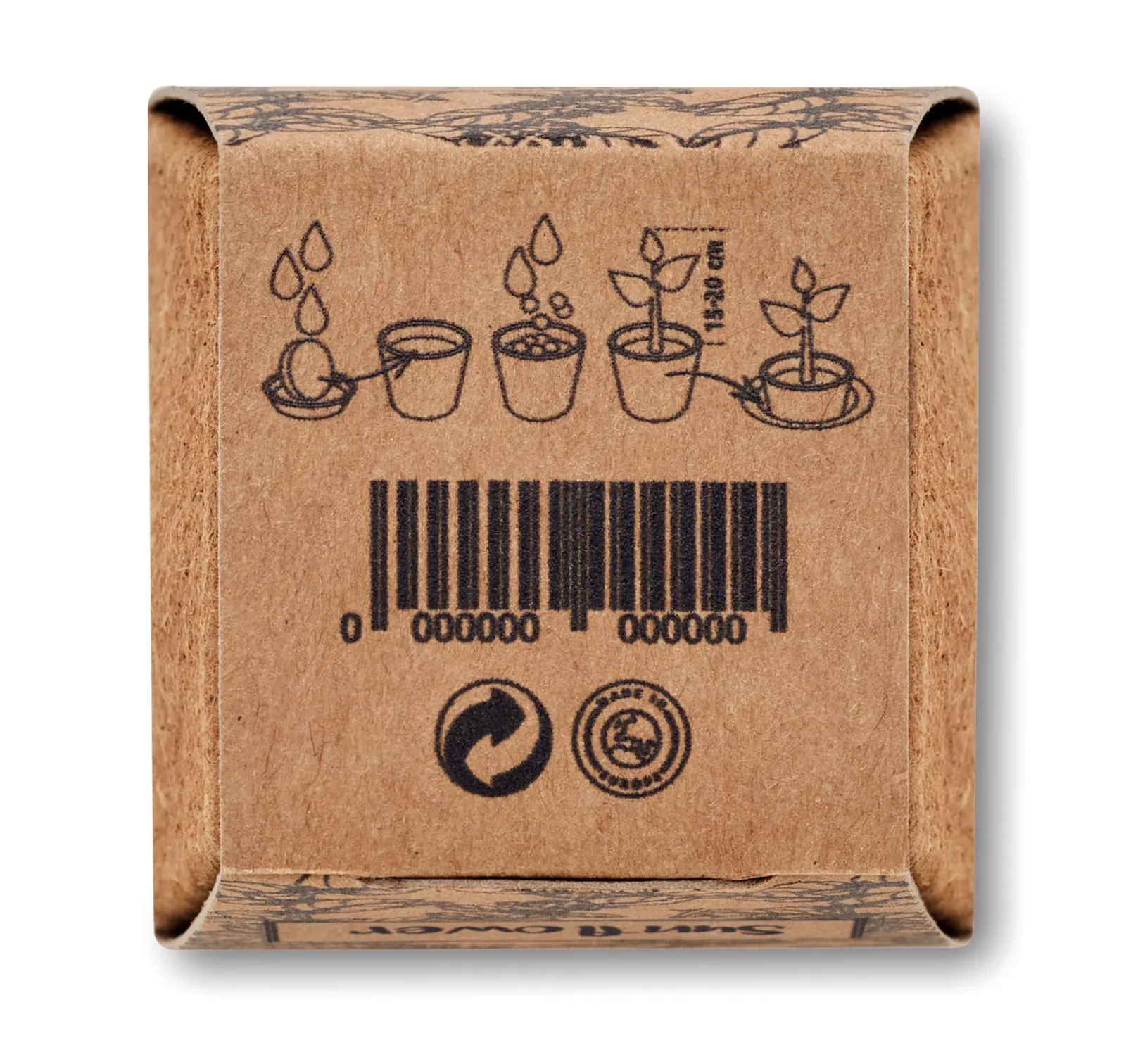 Sunflower Kit Sunflower Growing Kit — Beige