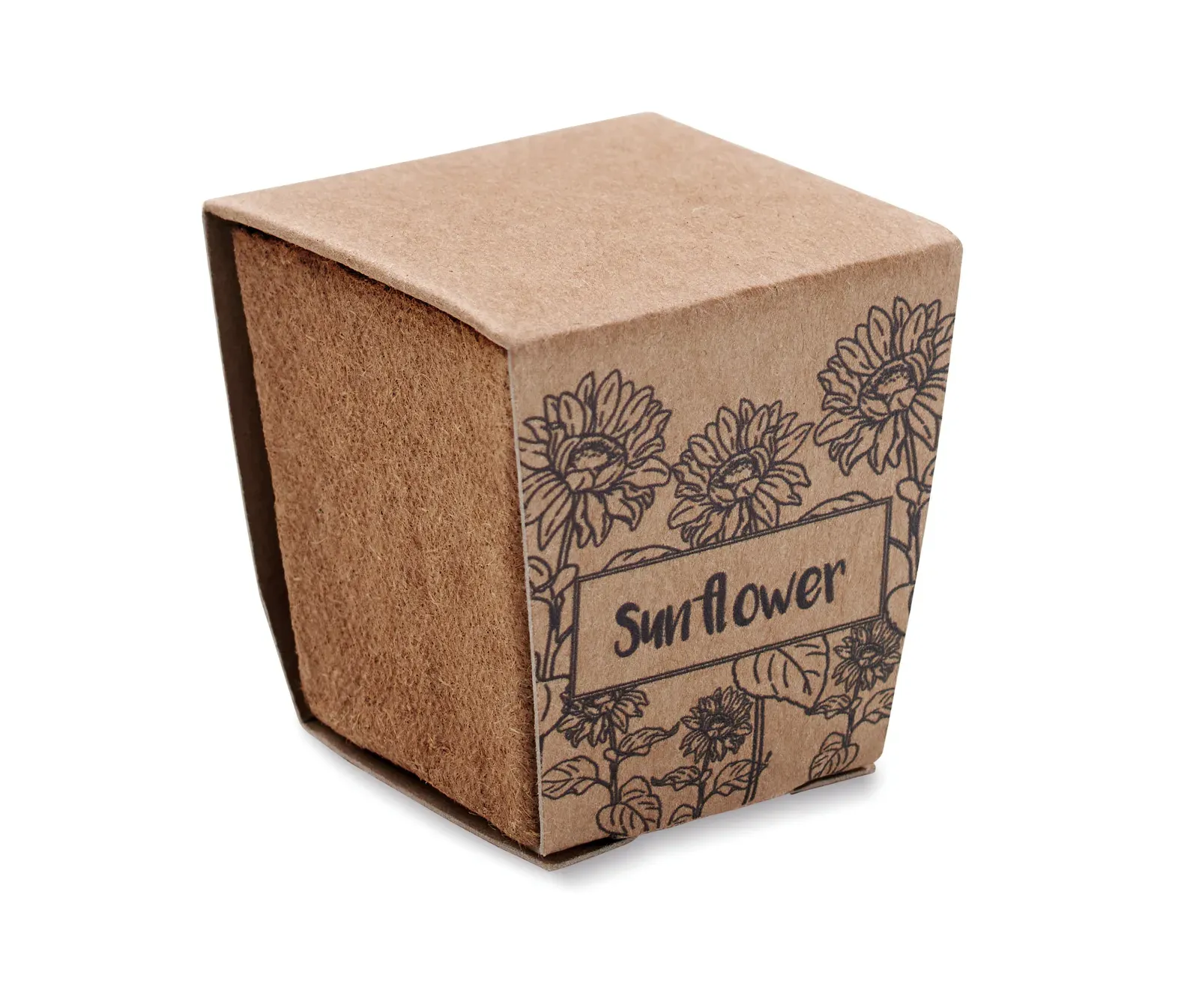 Sunflower Kit Sunflower Growing Kit — Beige