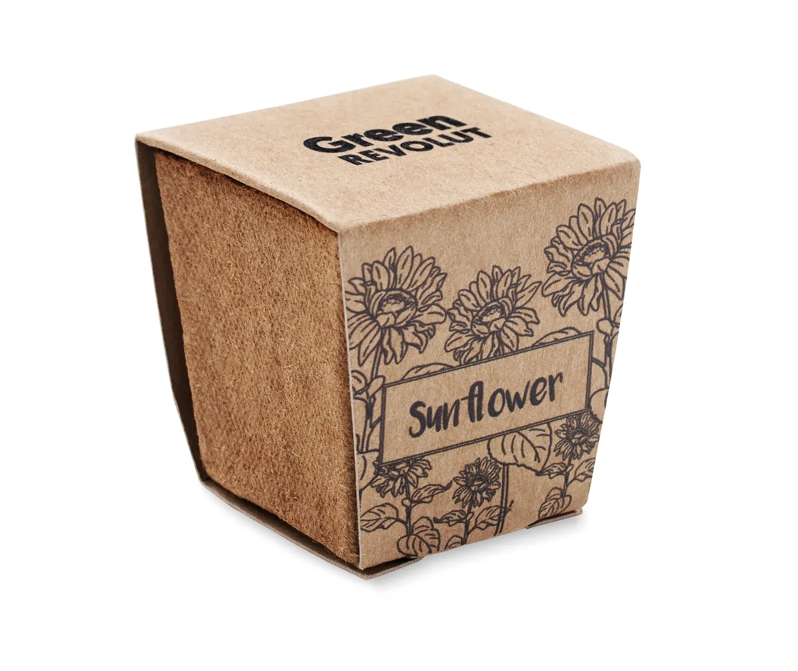 Sunflower Kit Sunflower Growing Kit — Beige