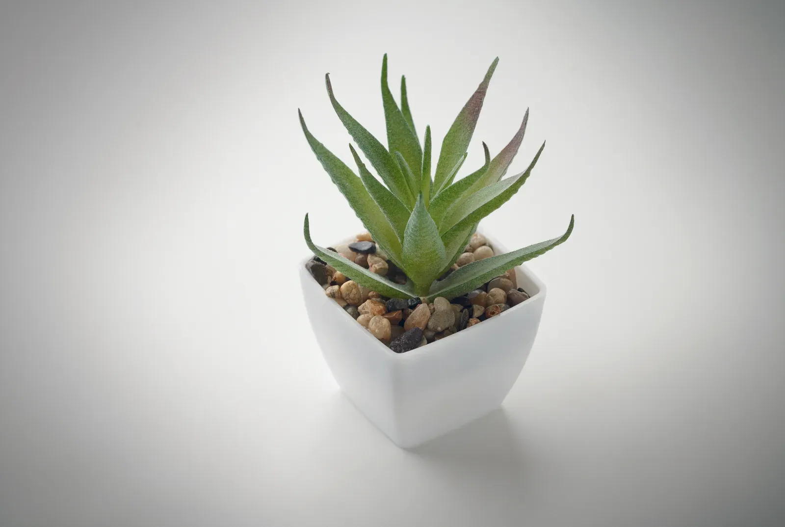 Artiloe Mini Artificial Aloe Plant — White