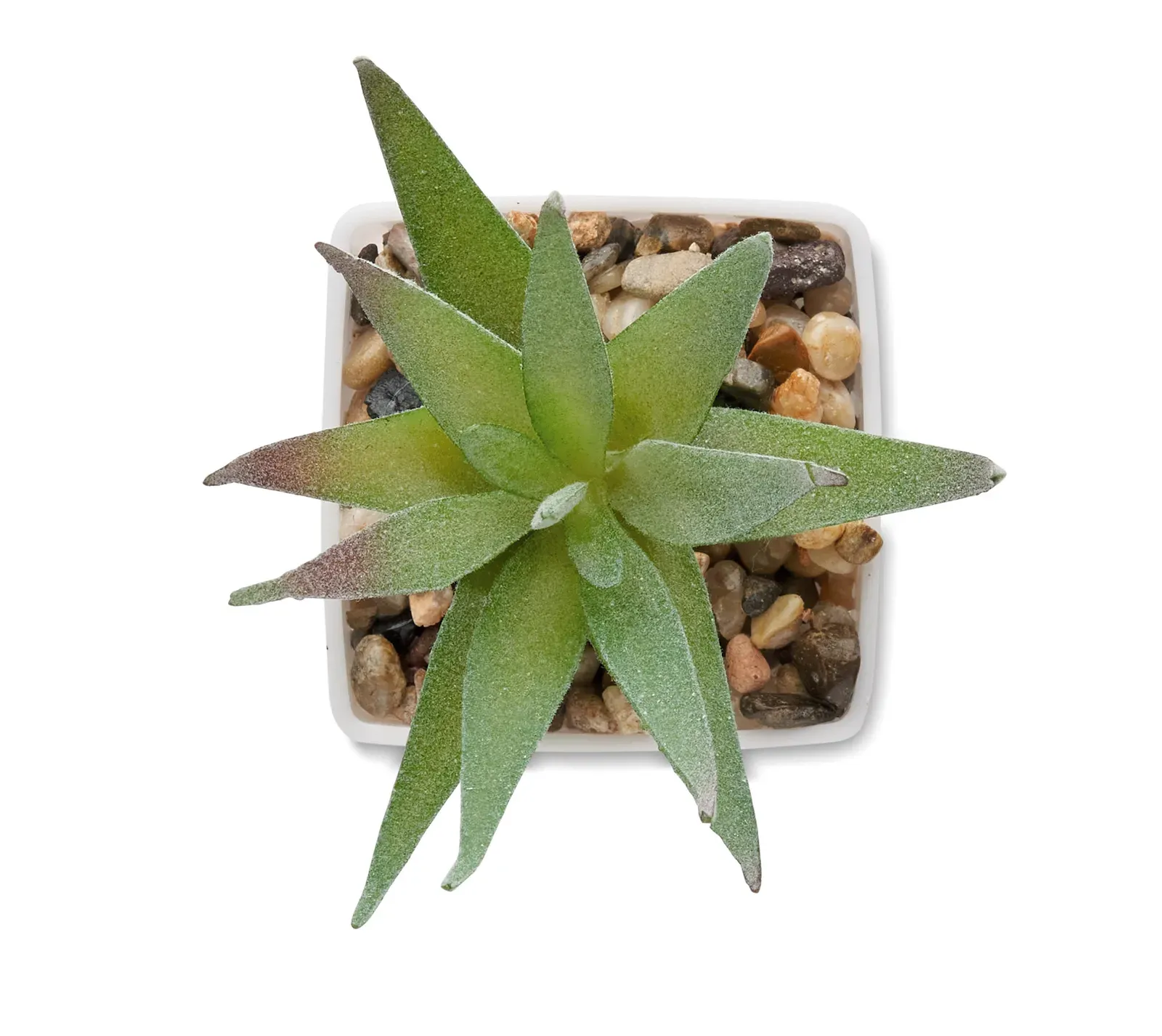Artiloe Mini Artificial Aloe Plant — White