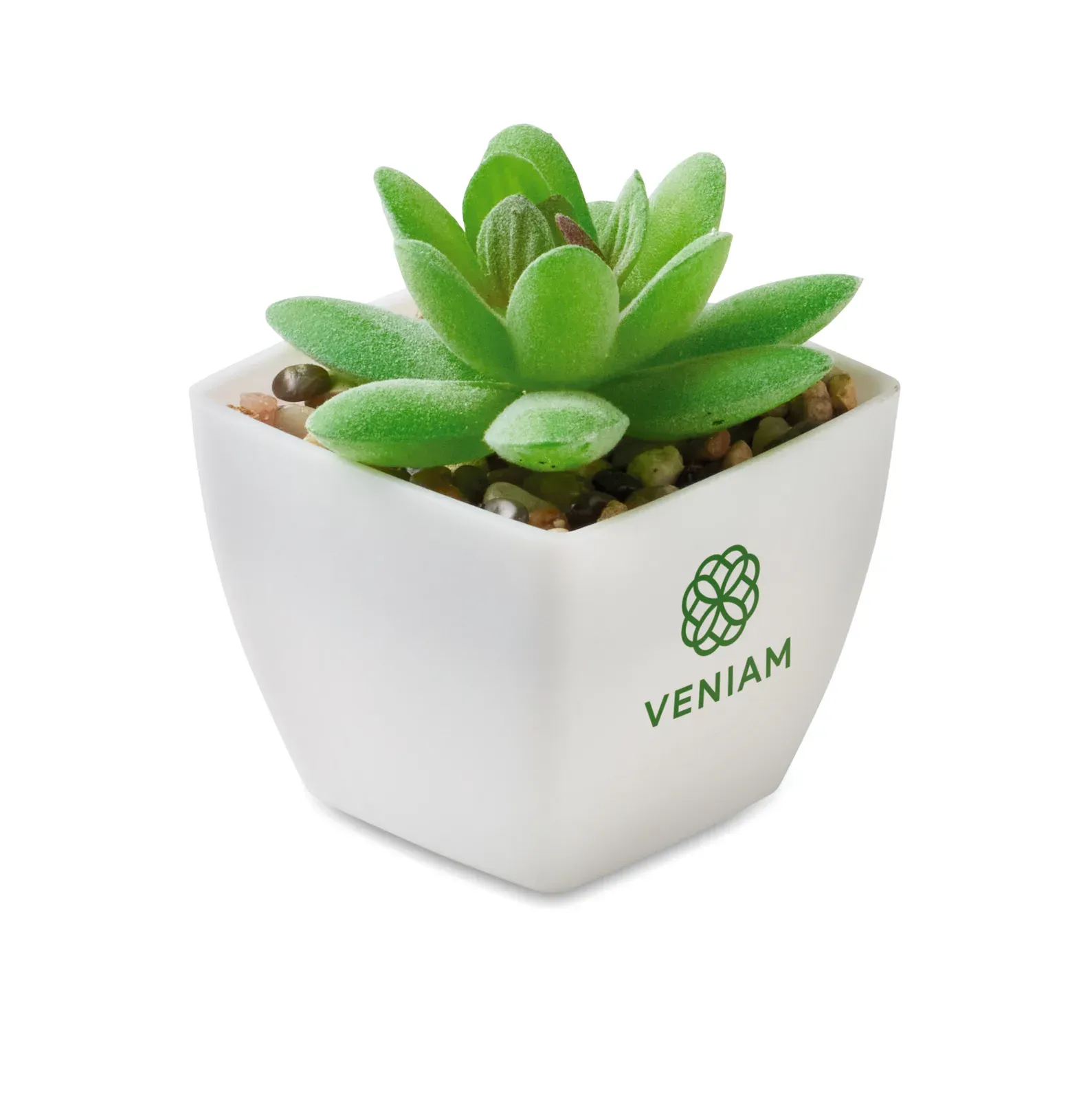 Artigrap Mini Artificial Graptopetalum Plant — White