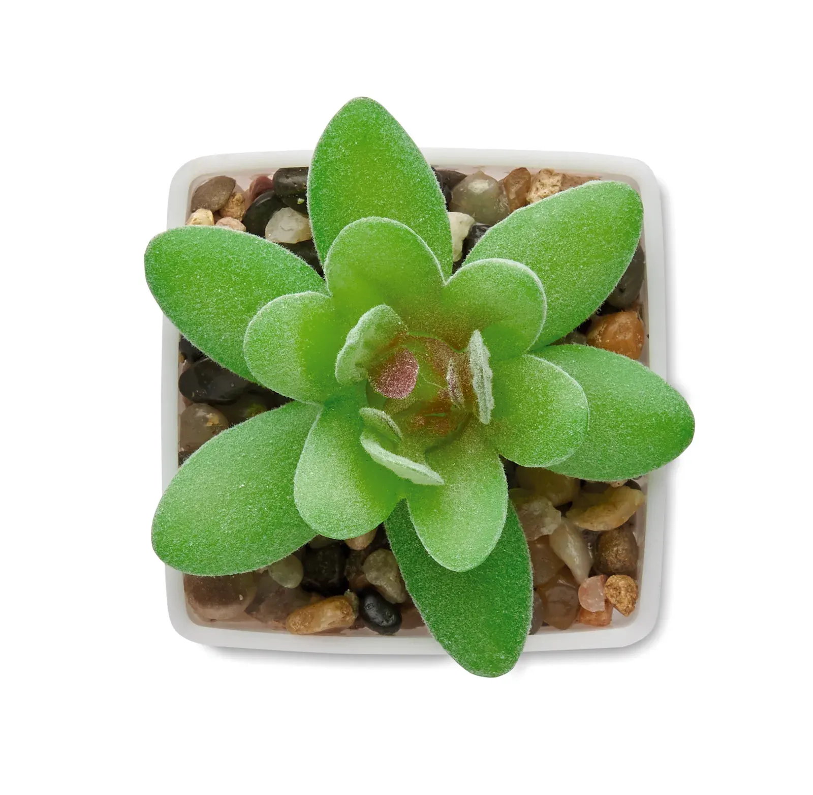 Artigrap Mini Artificial Graptopetalum Plant — White