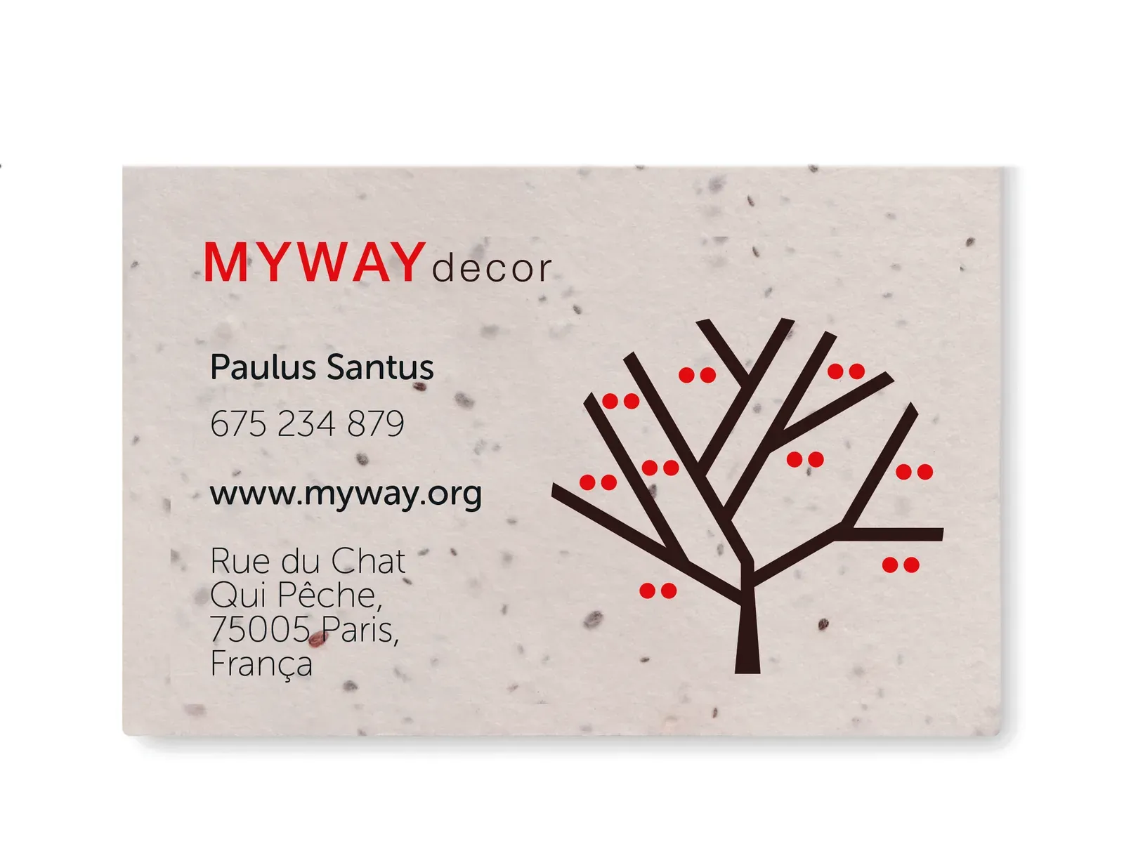 Asida Wildflower Seed Business Card – Plantable, EU-Made — White