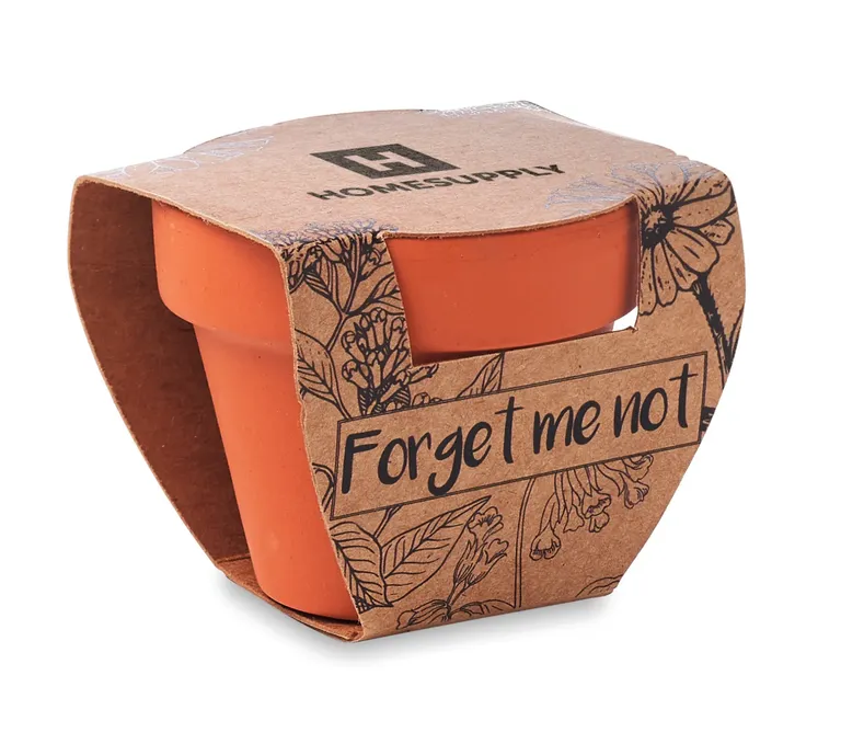 Forget Me Not Terracotta Growing Pot