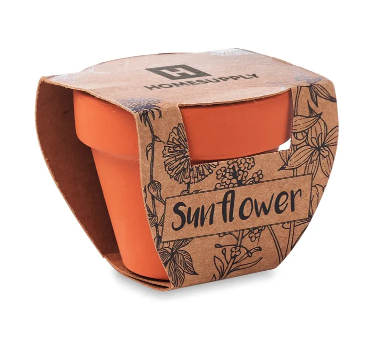 Sunflower Terracotta Growing Pot with Sunflower Seeds