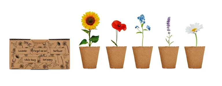 Flowers Strawberry Growing Kit in Wooden Crate
