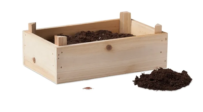 Strawberry Mixed Wildflower Growing Kit