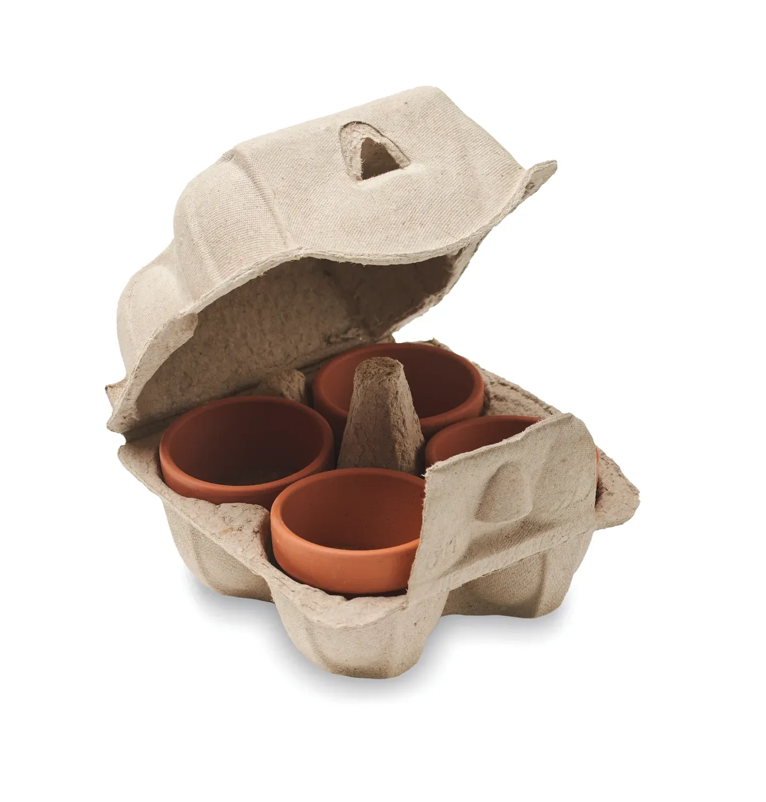 Cress Set of 4 Terracotta Pots with Cress Seeds — Beige