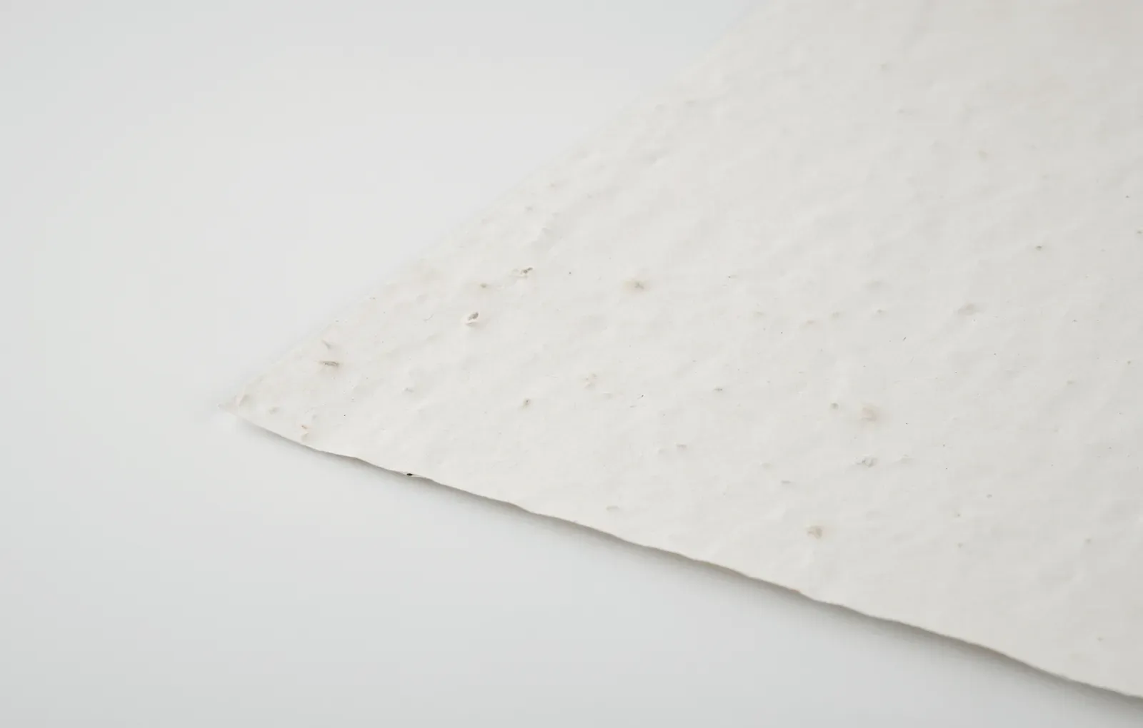 Asidi A4 Wildflower Seed Paper Sheet – Recycled, EU-Made — White