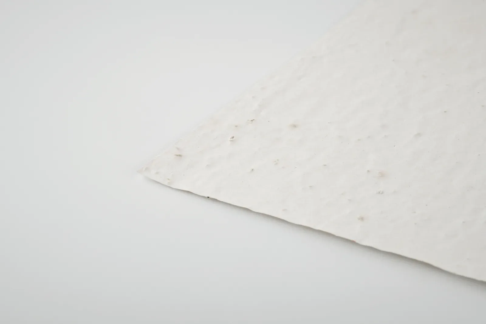 Asido A6 Wildflower Seed Paper Sheet – Recycled, EU-Made — White