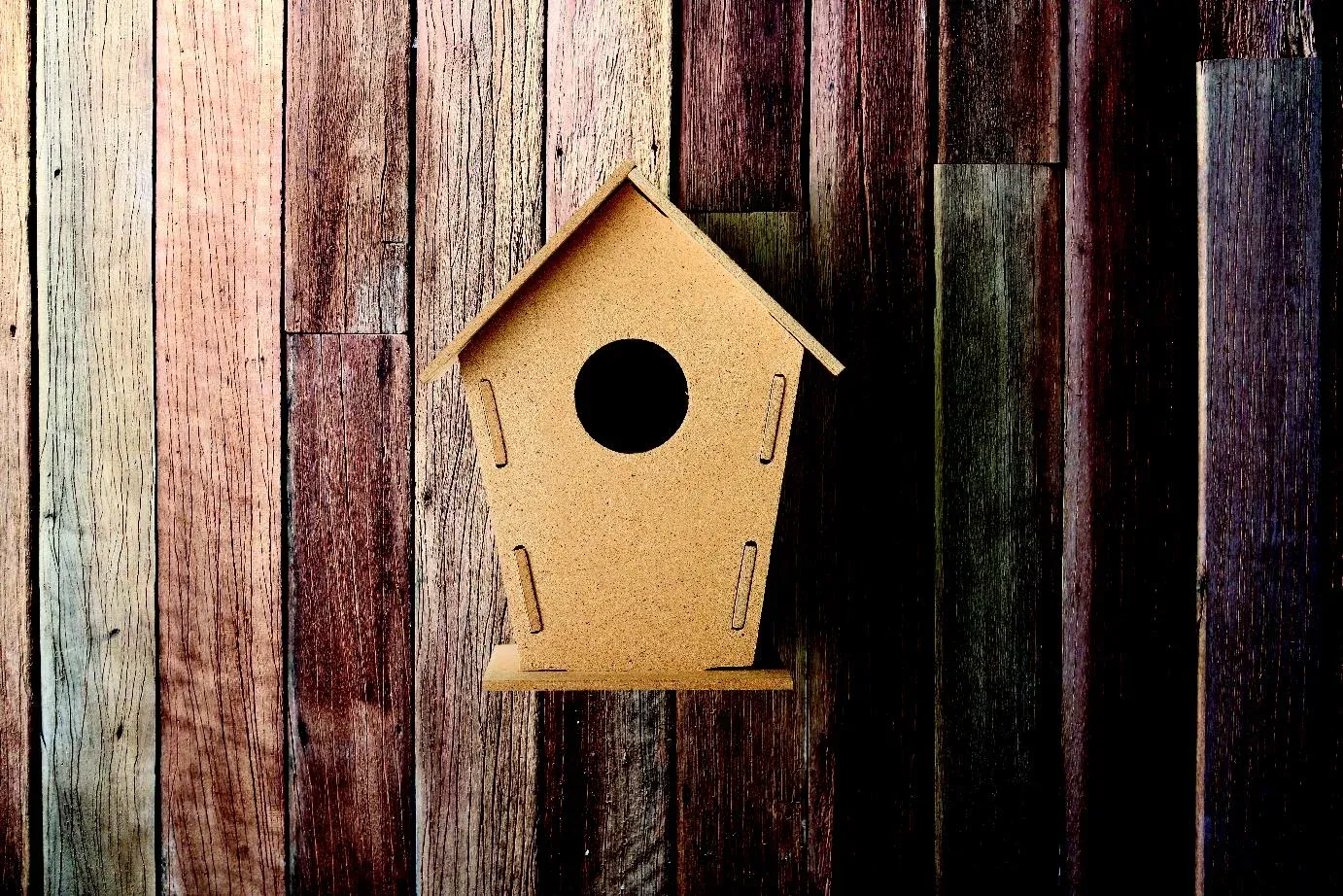 Woohouse DIY Wooden Birdhouse Kit — Wood