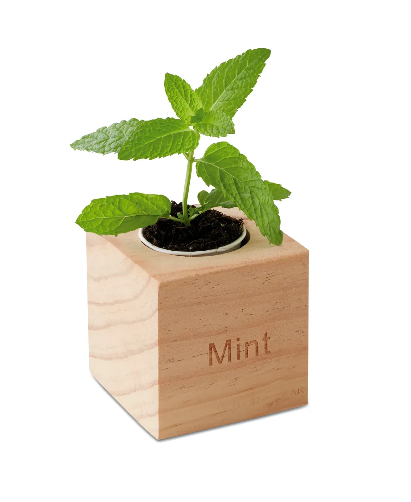 Menta Wooden Herb Pot with Mint Seeds