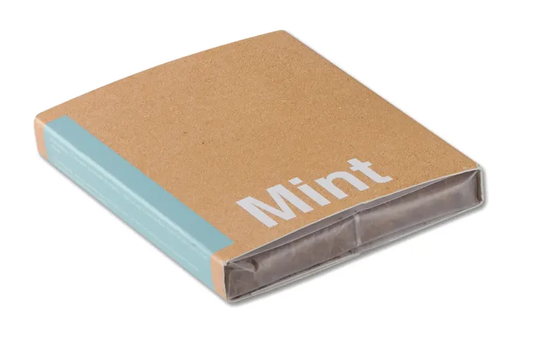 Mint Growing Kit